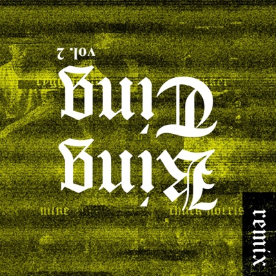 King Ting vol.2 remixer - EP