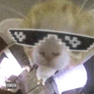 Yes Mdamm - Single