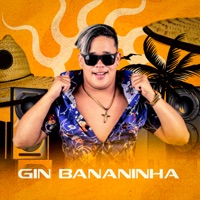Gin Bananinha - Single - O koringa & Pop na batida