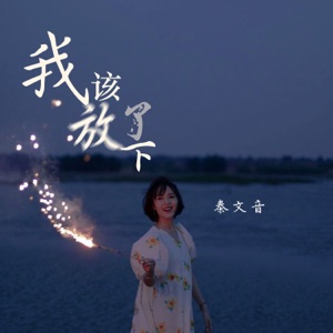 我该放下了 - Single