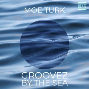 Groovez By the Sea - Single