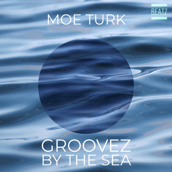 Groovez By the Sea - Single