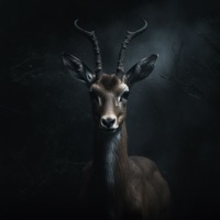 Urfa'nın Etrafı Dumanlı Dağlar - Single - Tan Taşçı