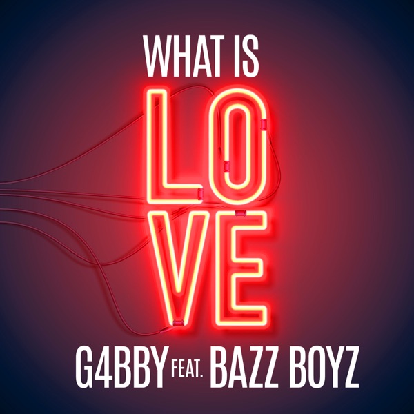 What Is Love (feat. Bazz Boyz) - Single