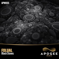 Black Stones - Single - FOLUAL