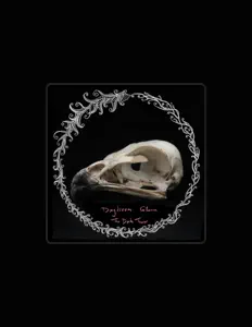 聆聽 Daydream Gloom、觀看音樂影片、閱讀小傳、查看巡演日期等！