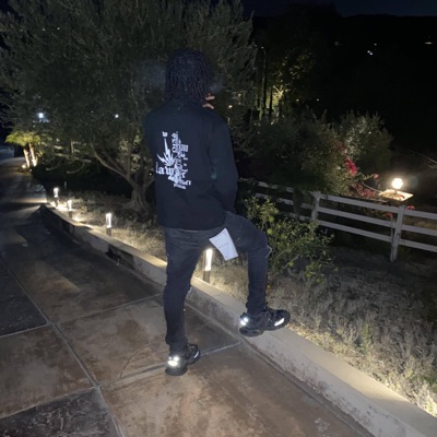 XFiles (feat. Lul Drec & Cam Da Billy) - Single