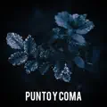 Punto y Coma