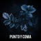 Punto y Coma artwork