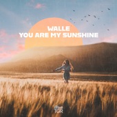 You Are My Sunshine artwork