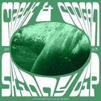 Skinny Dip - Single - Maelk & Coogan