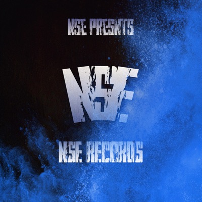 Troubles (feat. NSEMOEJOE, Nse Chris & No Struggle Empire) - Single