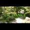 Lil Dance - Hemp Hero lyrics