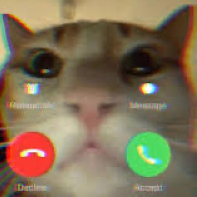 iPhone Factetime By a Cat - Single