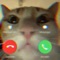 iPhone Factetime By a Cat - firstclasslikealways lyrics