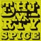 DMX - Thirty Spice lyrics