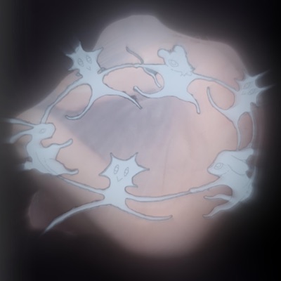 air tunes+ヾ✸.+:｡ﾟ☆