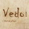 Vedo (2024 Version) - Andrea Longo lyrics