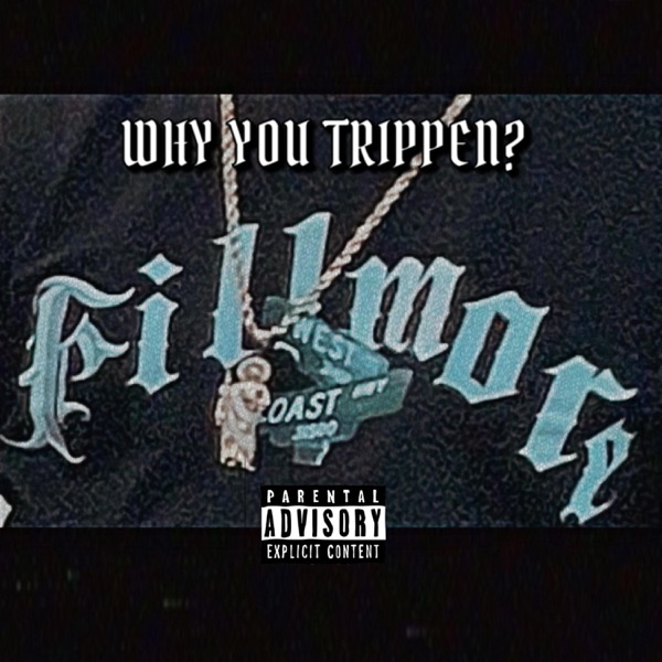 WHY YOU TRIPPEN? (feat. Djflo24 & Freeza the King) - Single
