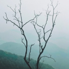 Goin away (feat. Vxlious) Ewing