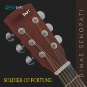 Soldier of Fortune artwork