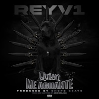 Quien Me Aguante - Single - Reyv1
