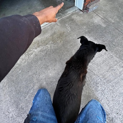 Hecates Appearance - Single