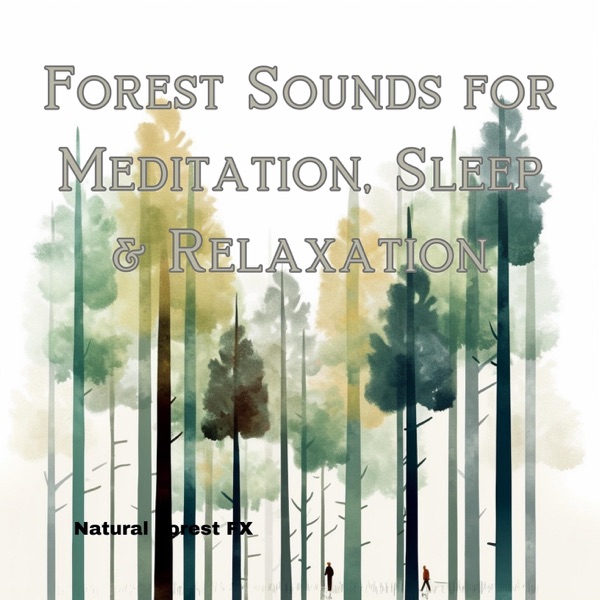 Forest Sounds for Meditation, Sleep & Relaxation