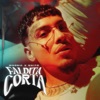 Faldita corta - Single