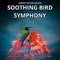 Rejuvenating Bird Song Session artwork