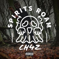 Spirits Roam (feat. FlyWayy) - Single - CH4Z