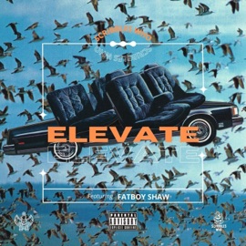 Elevate (feat. Fatboy Shaw) Scribbles Who