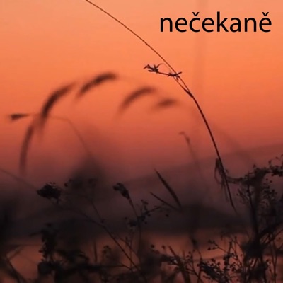 Nečekaně - Single
