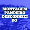 MONTAGEM PANDEIRO DESCONHECIDO (feat. MC GW) - Single