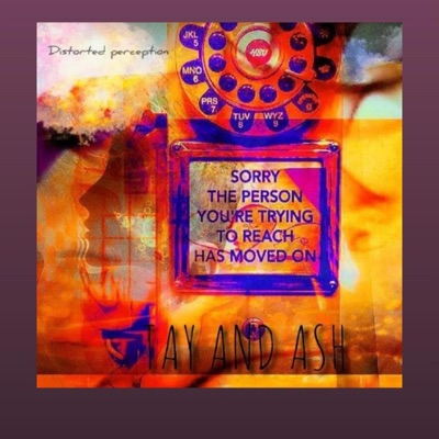 Distorted Perception (instrumental) - Single