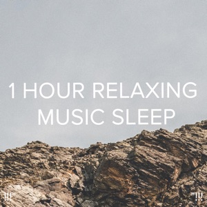 !!!" 1 Hour Relaxing Music Sleep "!!!