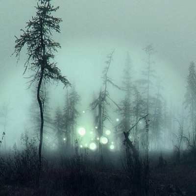 Stay Down For Me (feat. Cresta) - Single