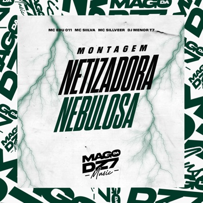 MONTAGEM NETIZADORA NEBULOSA (feat. MC SILLVEER) - Single