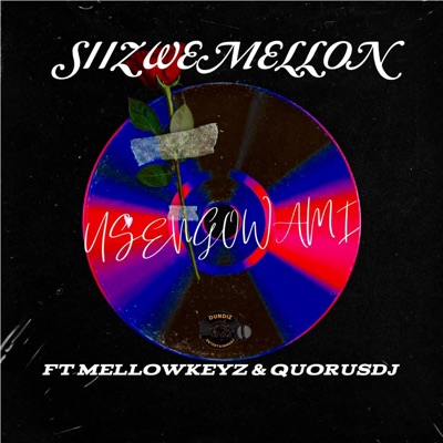 Usengowami (feat. Quorusdj & Mellow Keys) - Single