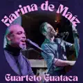 Harina de Maiz