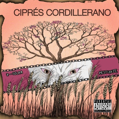 Ciprés Cordillerano (feat. Mestizaje) - Single