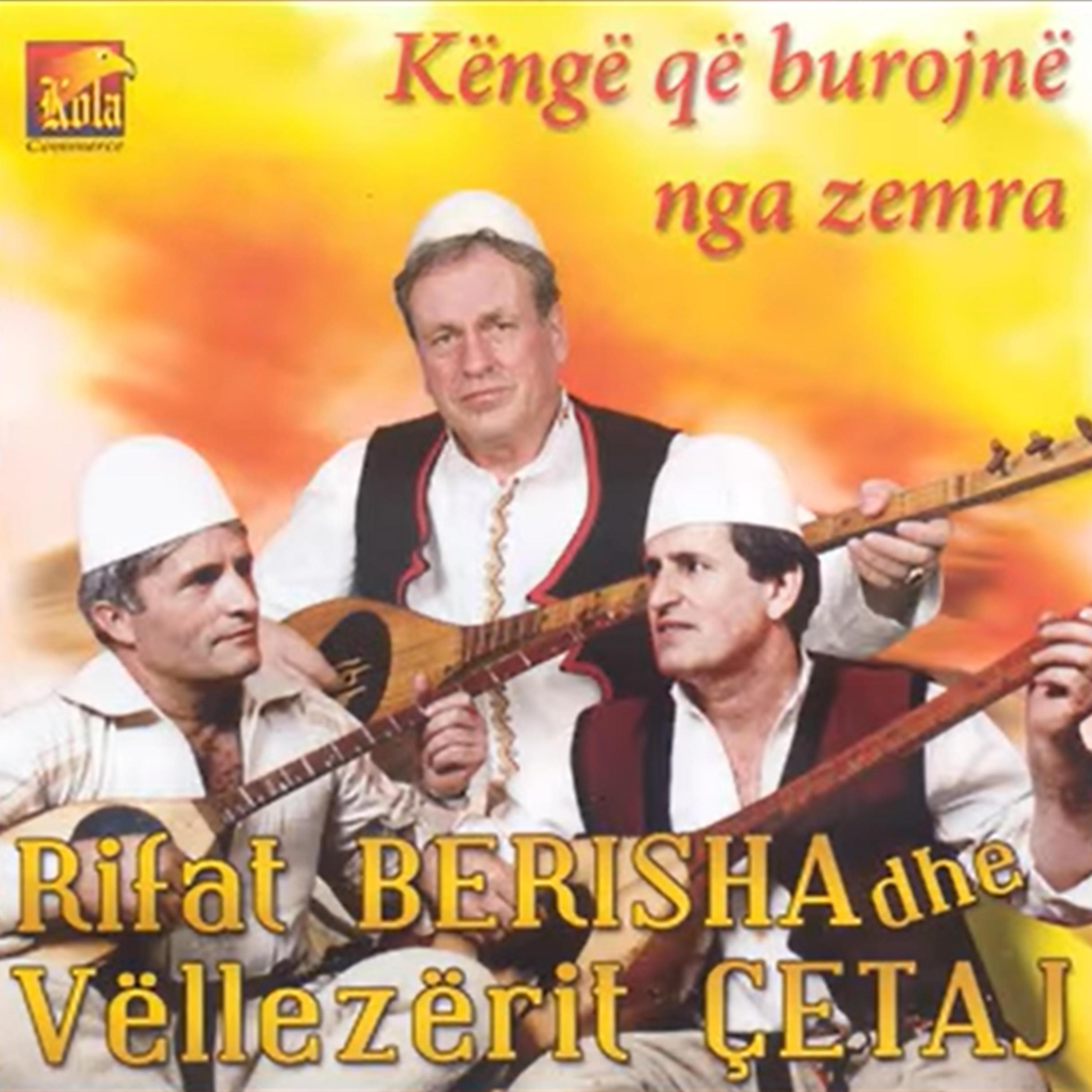 Rifat Berisha - Po luftojne Rugova e Peja