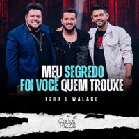 MEU SEGREDO / FOI VOCÊ QUEM TROUXE (feat. IGOR & WALACE) - Single - Carlos Rizzo