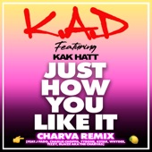 Just How You Like It (feat. Kak Hatt, Charlie Choppa, Kstar, Whydee, Tizzy, Blaize & The Charvas) [Charva Remix] artwork