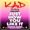 Just How You Like It (feat. Kak Hatt, Charlie Choppa, Kstar, Whydee, Tizzy, Blaize & The Charvas) [Charva Remix] artwork