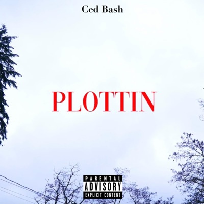Plottin - Single
