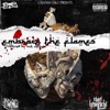 Embrace the Flames (feat. Chief Kamachi & DJ TMB) - Single