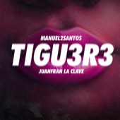 Tigu3r3 artwork