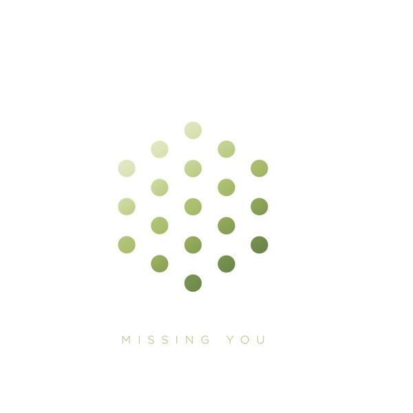Missing You - Single