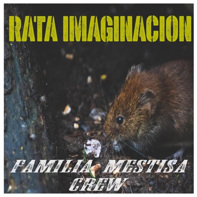 Rata Imaginación